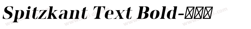 Spitzkant Text Bold字体转换